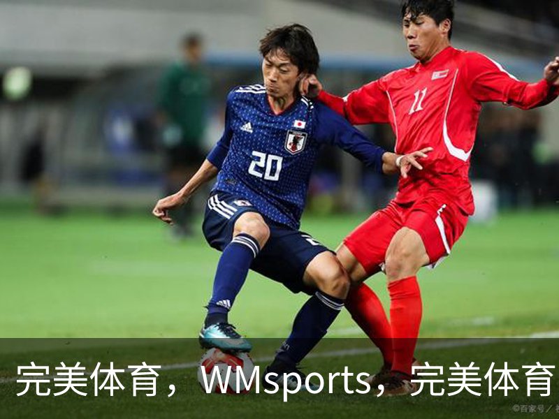 了解完美体育，WMsports，完美体育官方，完美体育平台，完美体育下载